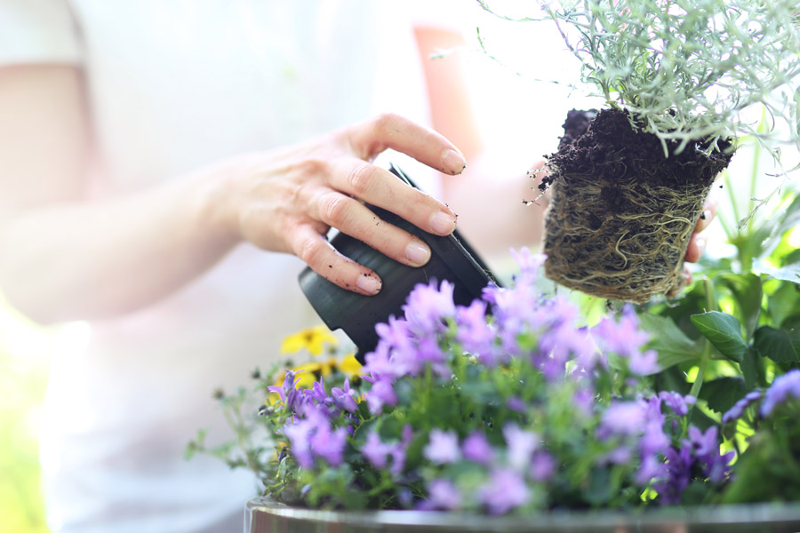 gardening-containers