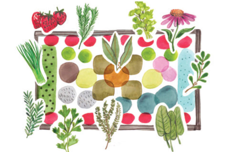 Garden-Plans-main