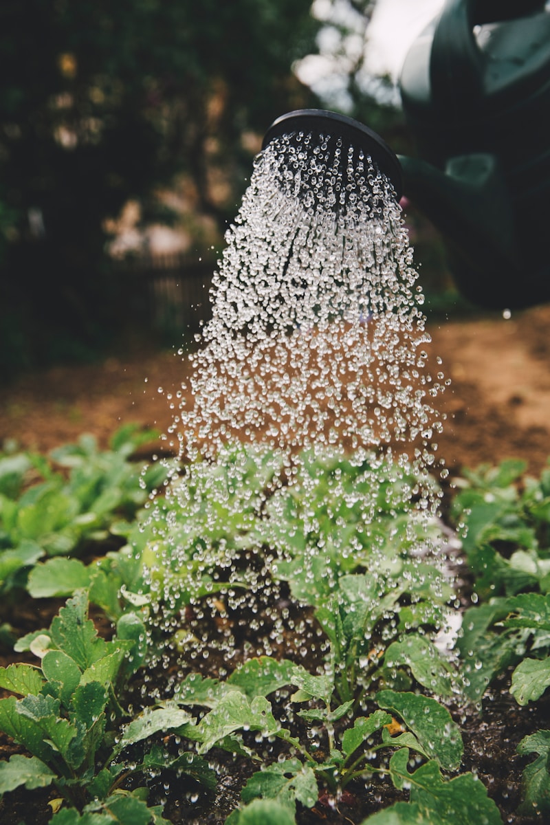 Garden Design to the Perfect Tools Garden Design to the Perfect Tools