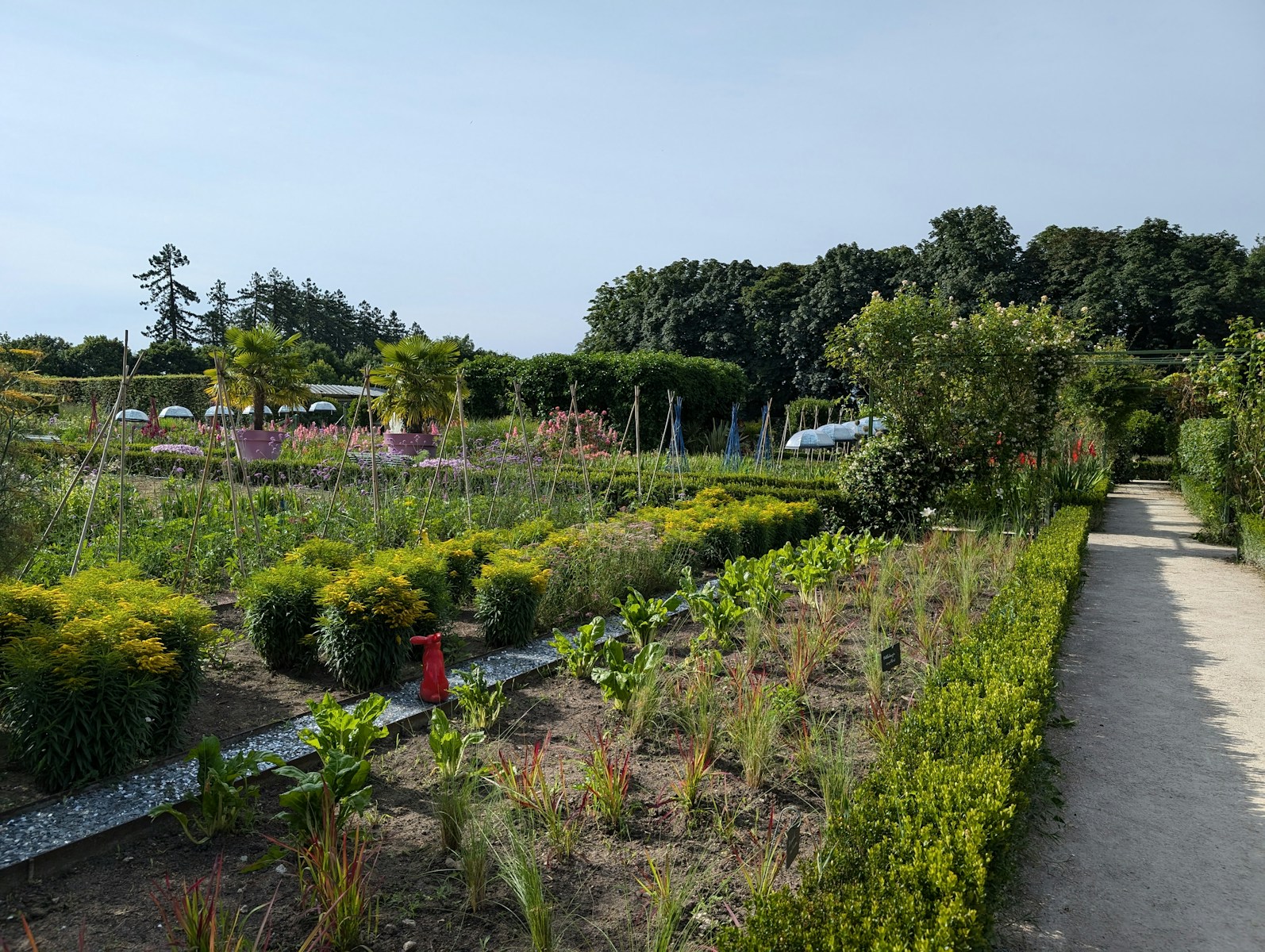 Vegetable Garden in September Vegetable Garden in September
